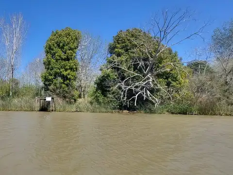 Rio / Arroyo Paraná Miní 100