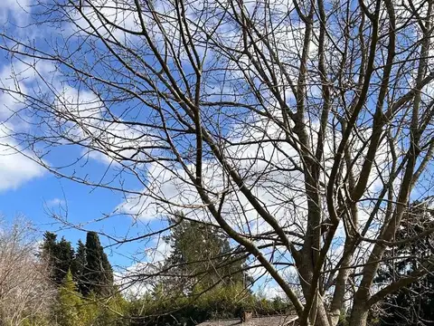 Santiago De Liniers 2764