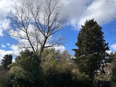 Santiago De Liniers 2764