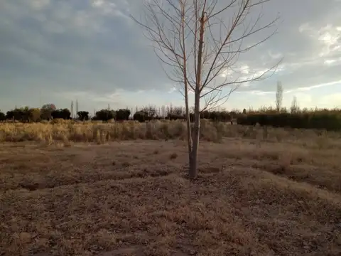 Terreno en Venta en San Rafael, USD 21.000