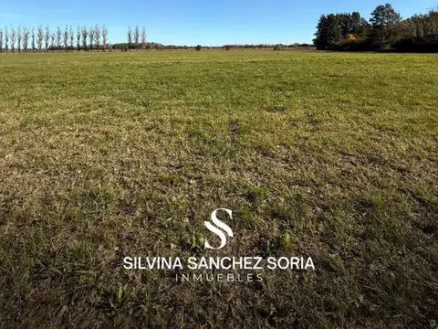 CHACRA EN VENTA, BARRIO CERRADO LA MACARENA, CAPILLA DEL SEÑOR