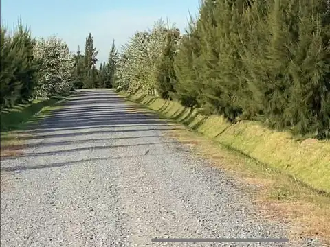 Terreno en Venta en Coronel Brandsen, USD 14.000