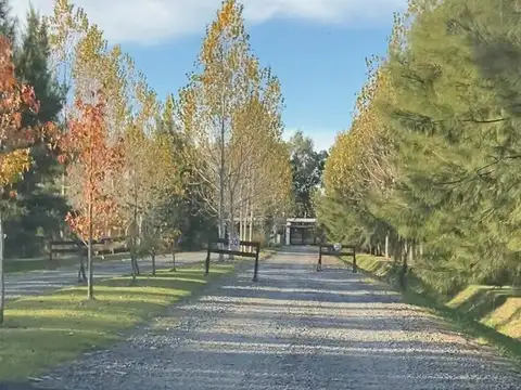 Ruta 2 Km 76, Brandsen