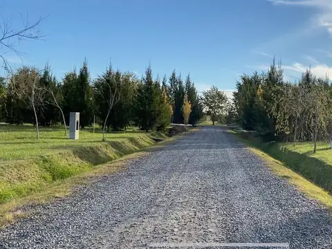 Ruta 2 Km 76, Brandsen