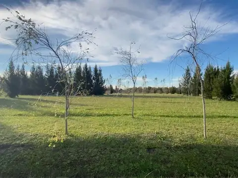 Terreno en Venta de 1000,0 m2