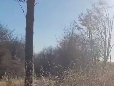 Terreno en Venta en Tolhuin, USD 209.000