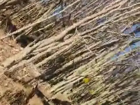 Terreno en Venta de 39126,0 m2