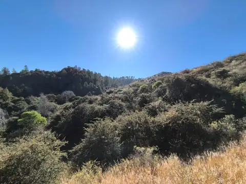 Terreno en Venta de 9970,0 m2