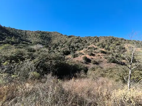 VENTA TERRENO UNA HECTÁREA DIQUE LOS MOLINOS