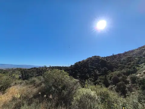 Terreno en Venta 137  mts Frente