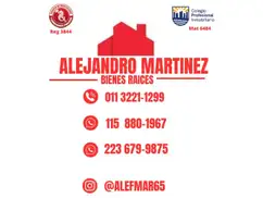ALEJANDRO F. MARTINEZ BIENES RAICES