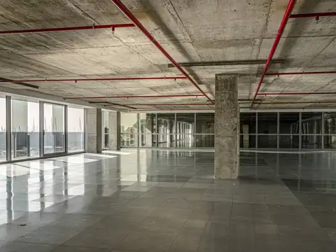 cecilia grierson 300