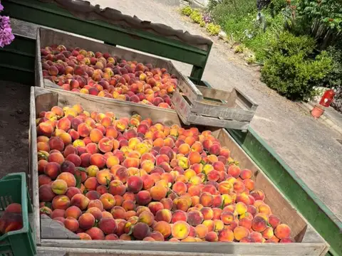 San Pedro Provincia de Buenos Aires