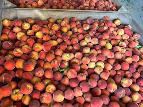 San Pedro Provincia de Buenos Aires