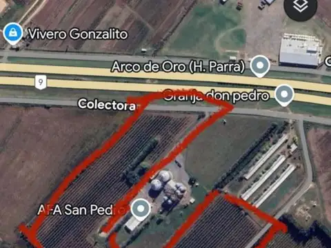 San Pedro Provincia de Buenos Aires