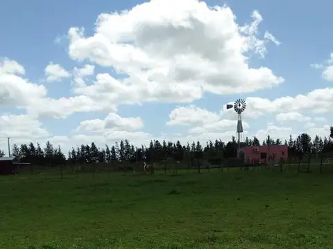 Terreno en Venta en Villa Lia, USD 31.000