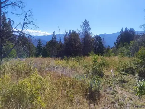 Tu refugio natural en Pje. Golondrinas
