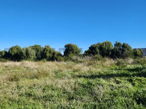 Terreno en Venta en Dina Huapi, USD 39.450