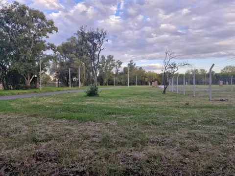 Terreno en Venta de 320,0 m2