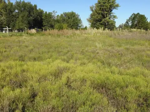 Terreno en Venta de 8550,0 m2