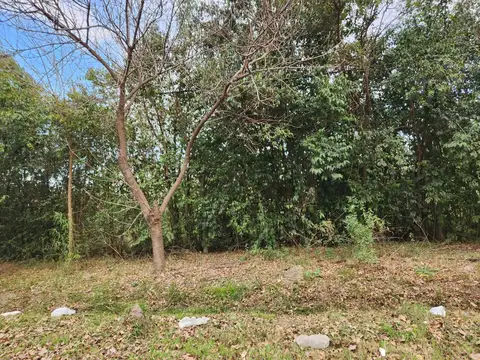 Punta del Quebracho al 9200