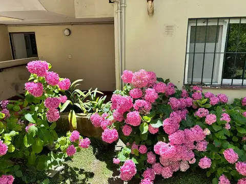 Del Tuyú 700, Piso 1