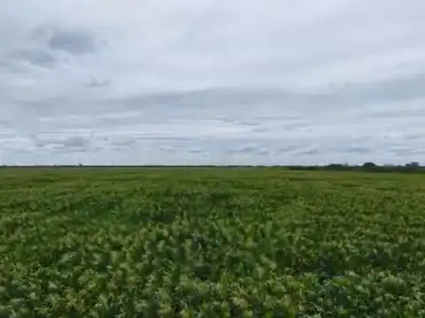 Guardia Escolta, Departamento Belgrano