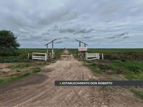 Campo Agrícola en Guardia Escolta, Departamento Belgrano.