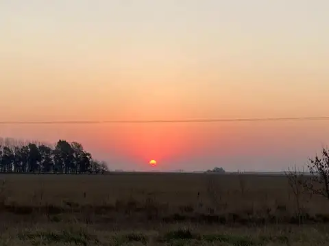 Terreno en Venta 25  mts Fondo