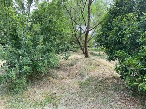 Terreno en Venta 20  mts Frente