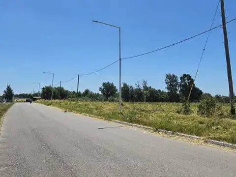 Terreno en Venta de 8000,0 m2