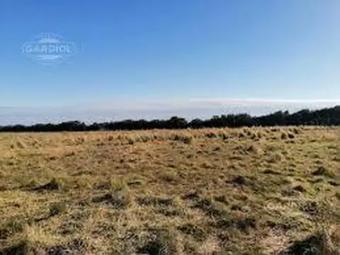122 ha Ganderas en Venta - Herrera - Sgo del Estero