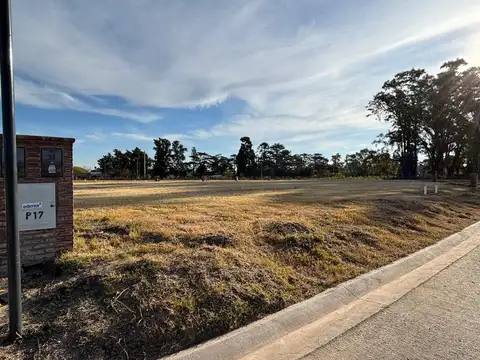 Dr. Manuel Argerich 1200