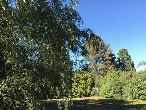 Terreno en Venta 15,12  mts Frente