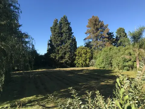 LOTE 615 M2. - EXCELENTE Y AÑOSA FORESTACIÓN - LOBOS - BS. AS.