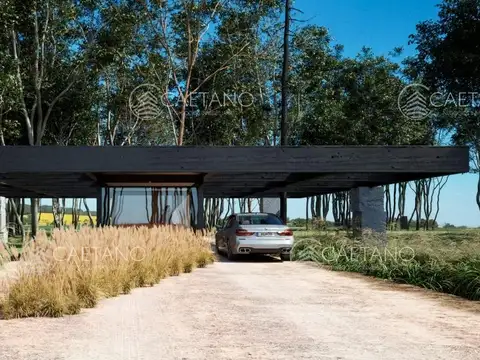 Terreno en Venta, FOT 50