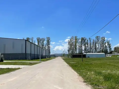 Galpon en Alquiler 60  mts Fondo