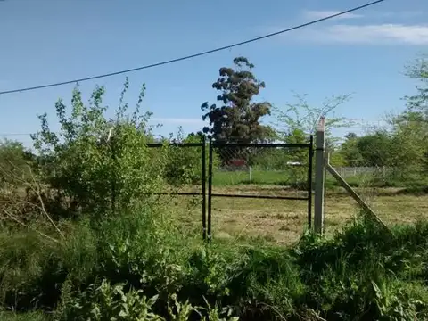 Terreno en Alquiler en 141 e/ 415 y 417 Villa Elisa - Alberto Dacal Propiedades