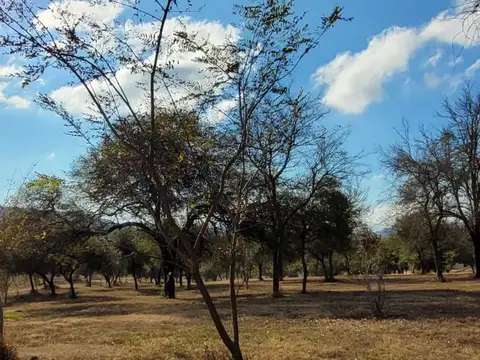 Terreno en Venta de 1230,0 m2