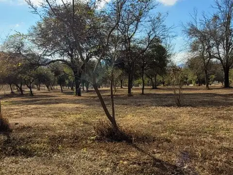 Terreno en Venta de 1230,0 m2
