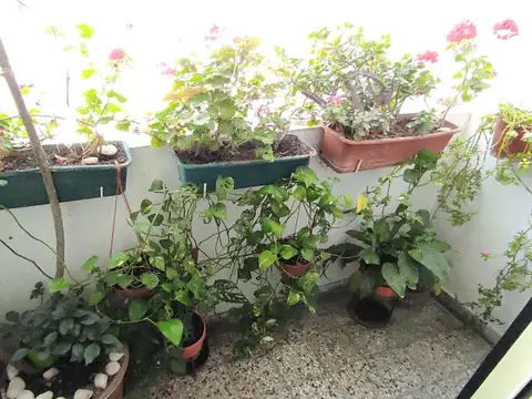 Departamento de 4 ambientes en Venta en Villa crespo