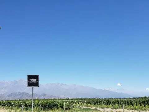 MAGNIFICA FINCA EN VENTA EN ALTAMIRA VALLE DE UCO