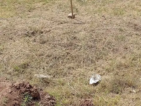 Terreno en Venta en Plottier, USD 8.000