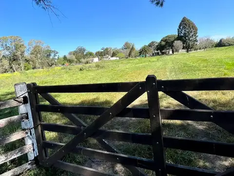 Terreno en Venta de 1000,0 m2