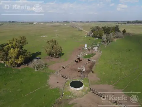 Campo de 104 has en Venta en Chascomús - Apto para Desarrollo