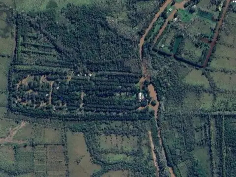 Terreno en Venta de 800,0 m2