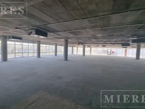 Oficina en Alquiler con 50 cocheras