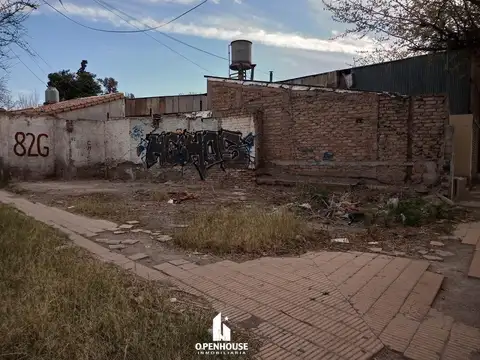 Doctor Moreno y Patricias Mendocinas