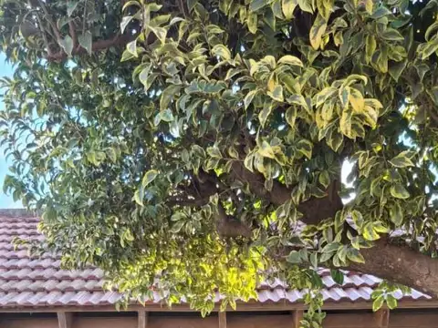 CASA EN VENTA 2 DORMITORIOS ETCHEVERRY