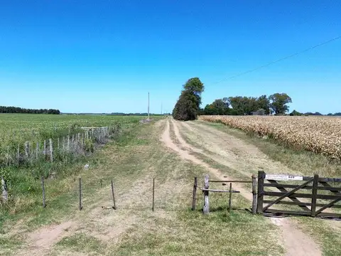 Vendo Campo de 349 hectáreas en Gualeguaychú, Entre Ríos.